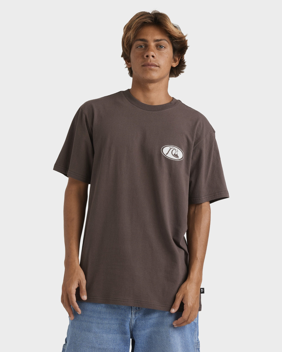 Mens Inside Section T-Shirt – Chocolate Brown – Quiksilver NZ