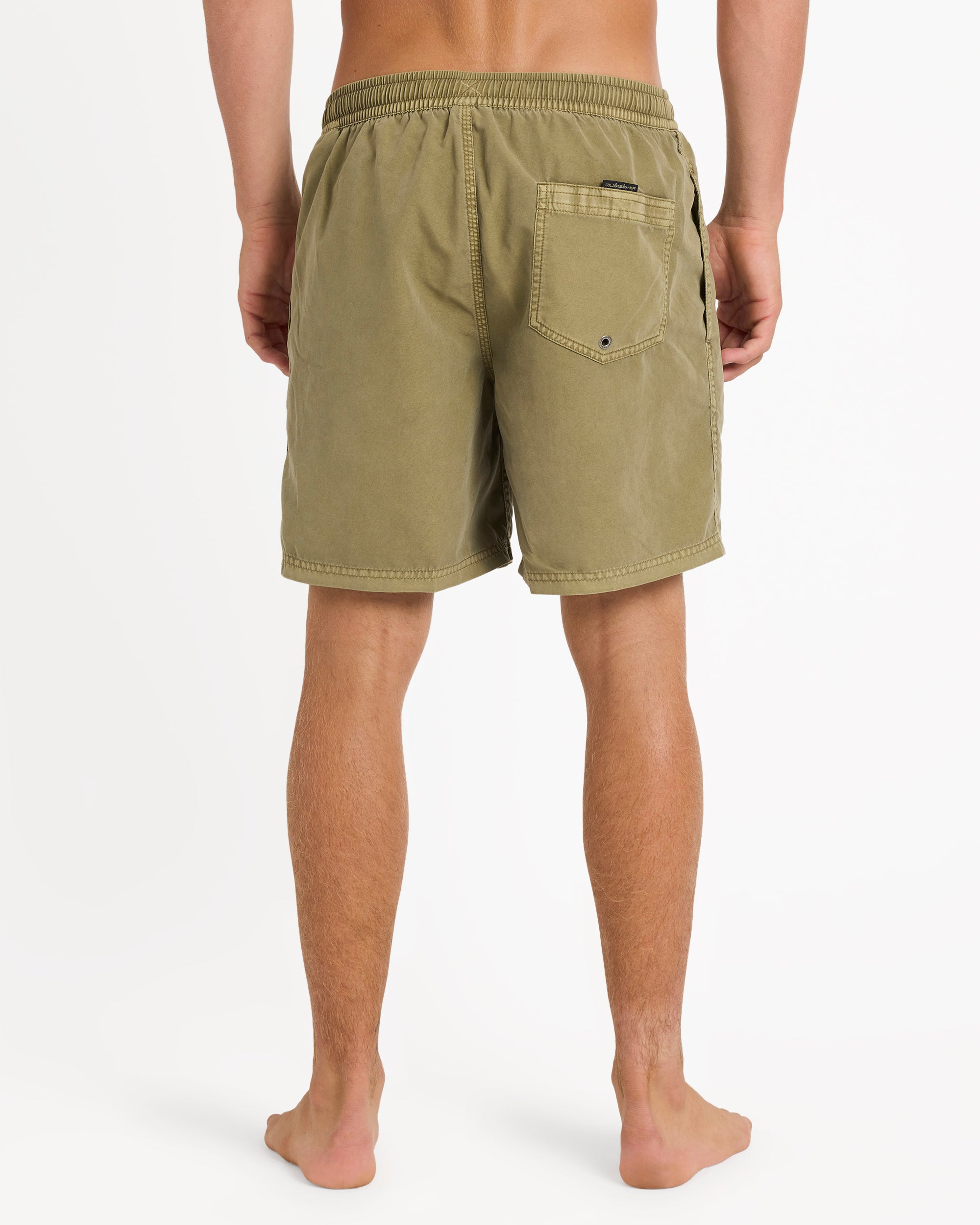 Mens Everyday Surfwash 17" Swim Shorts