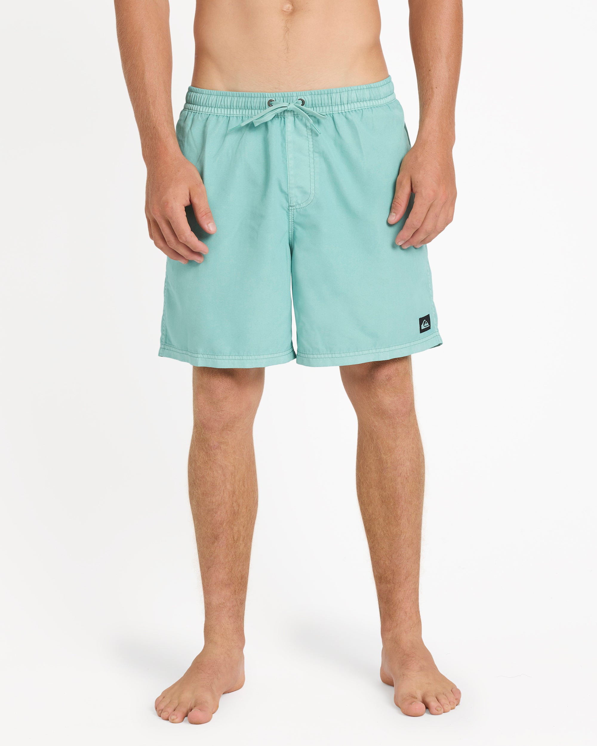Mens Everyday Surfwash 17" Swim Shorts