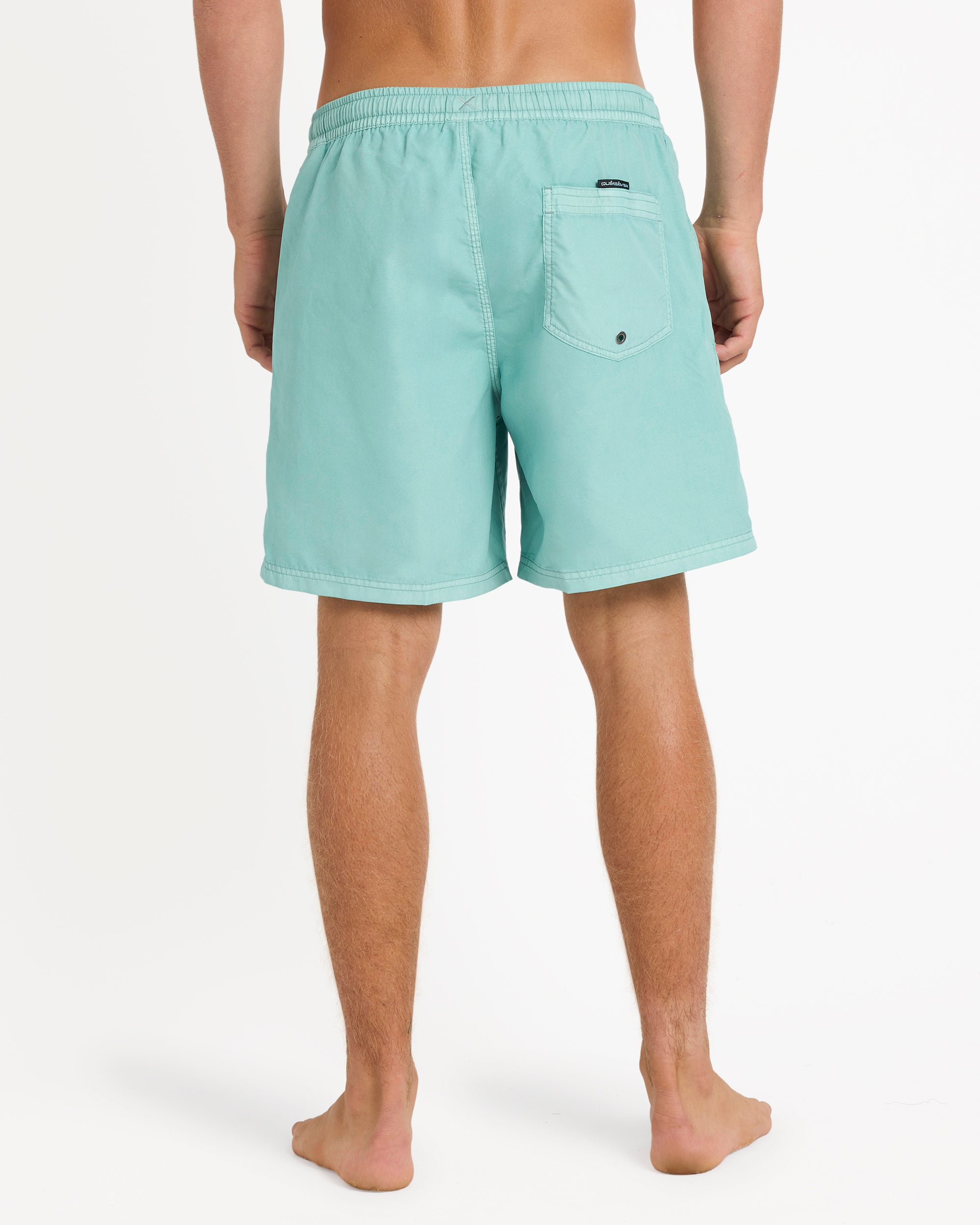 Mens Everyday Surfwash 17" Swim Shorts