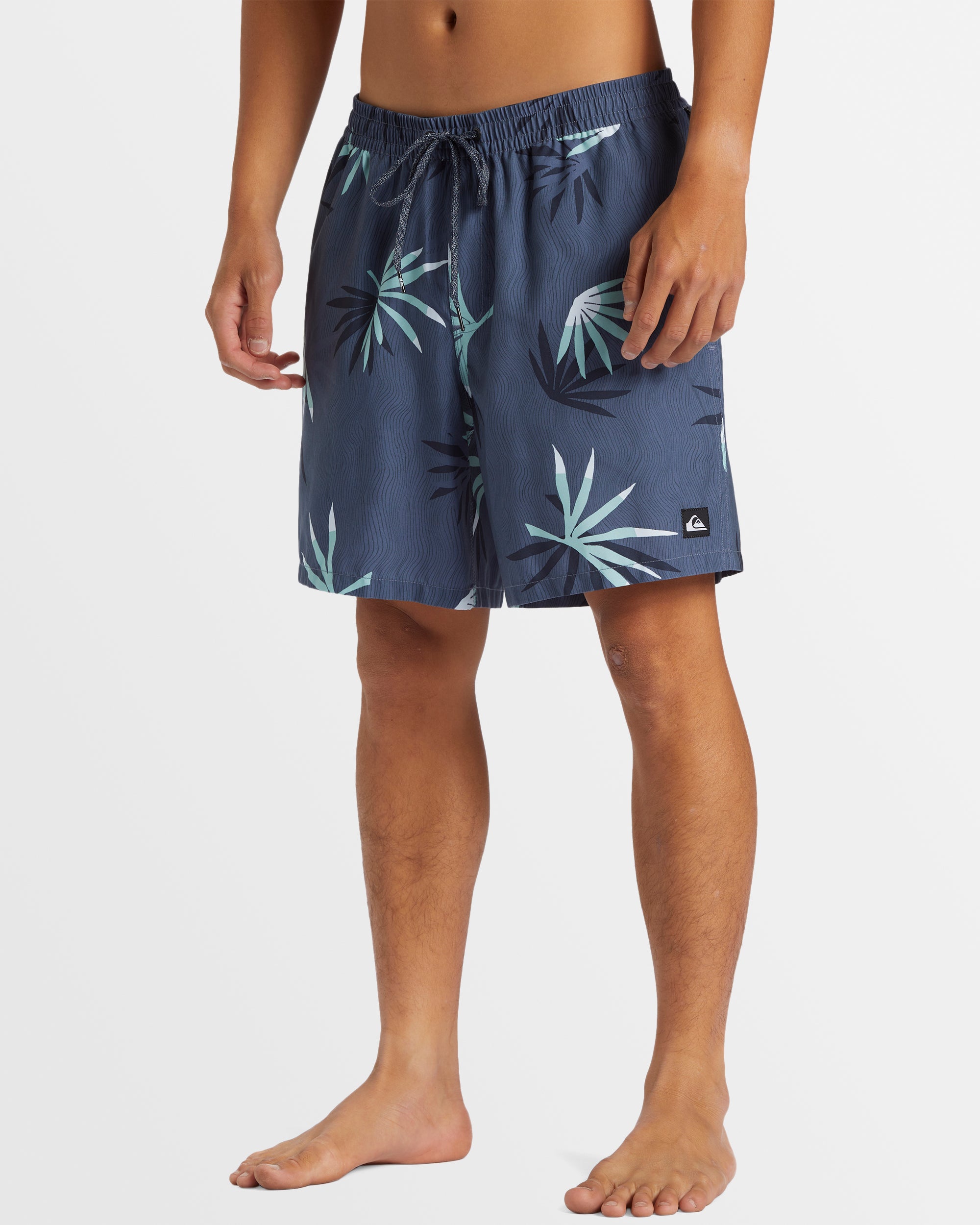 Mens Everyday Mix 17" Boardshorts