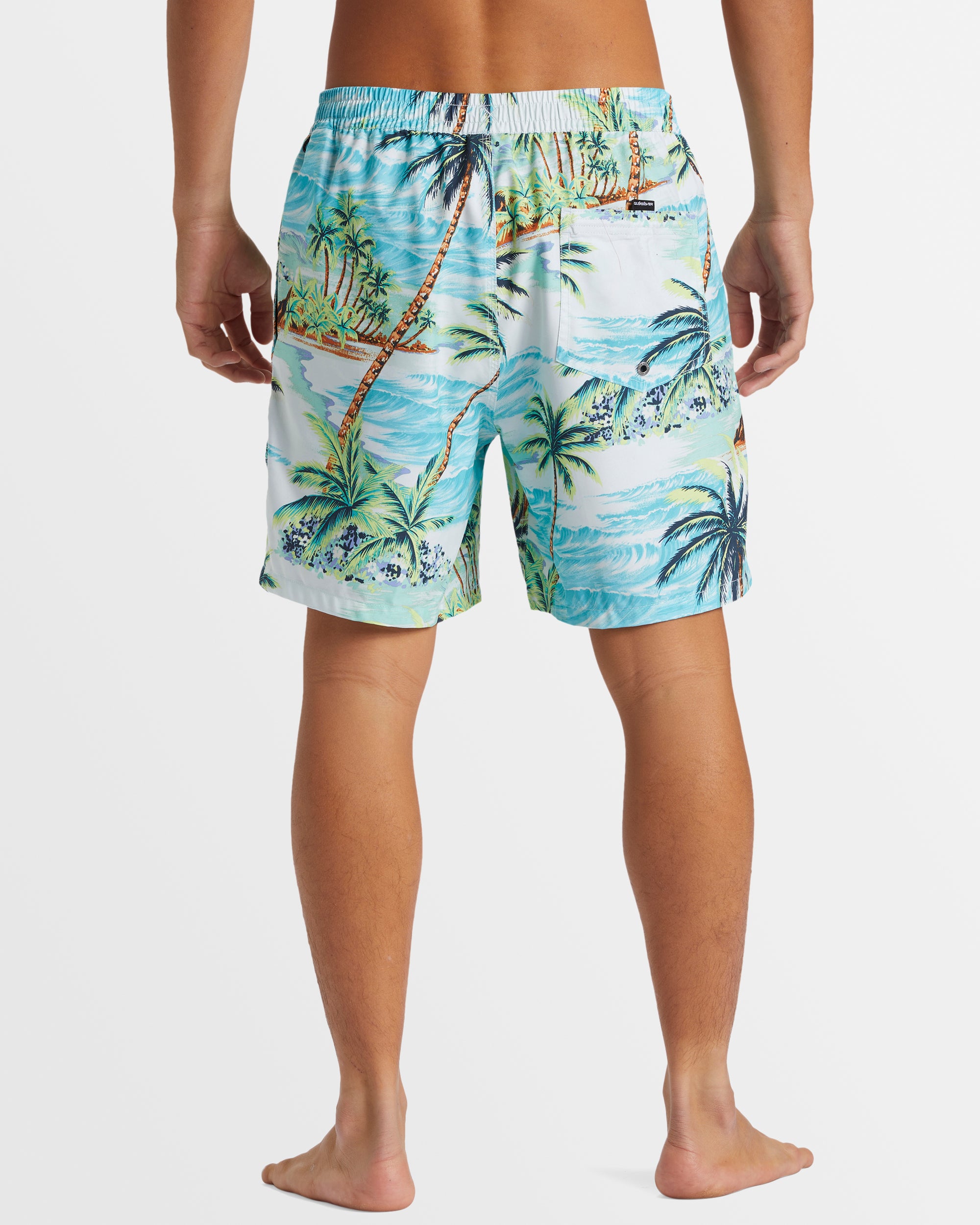 Mens Everyday Mix 17" Boardshorts