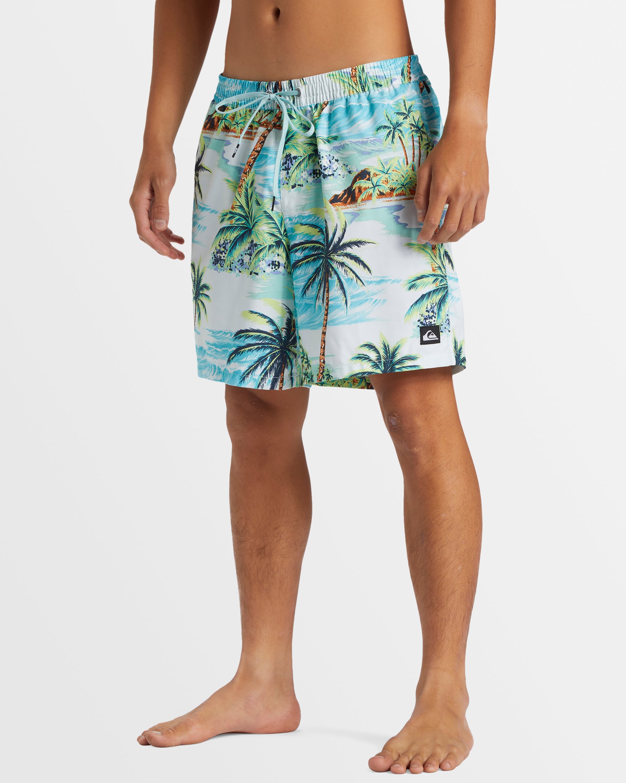 Mens Everyday Mix 17" Boardshorts