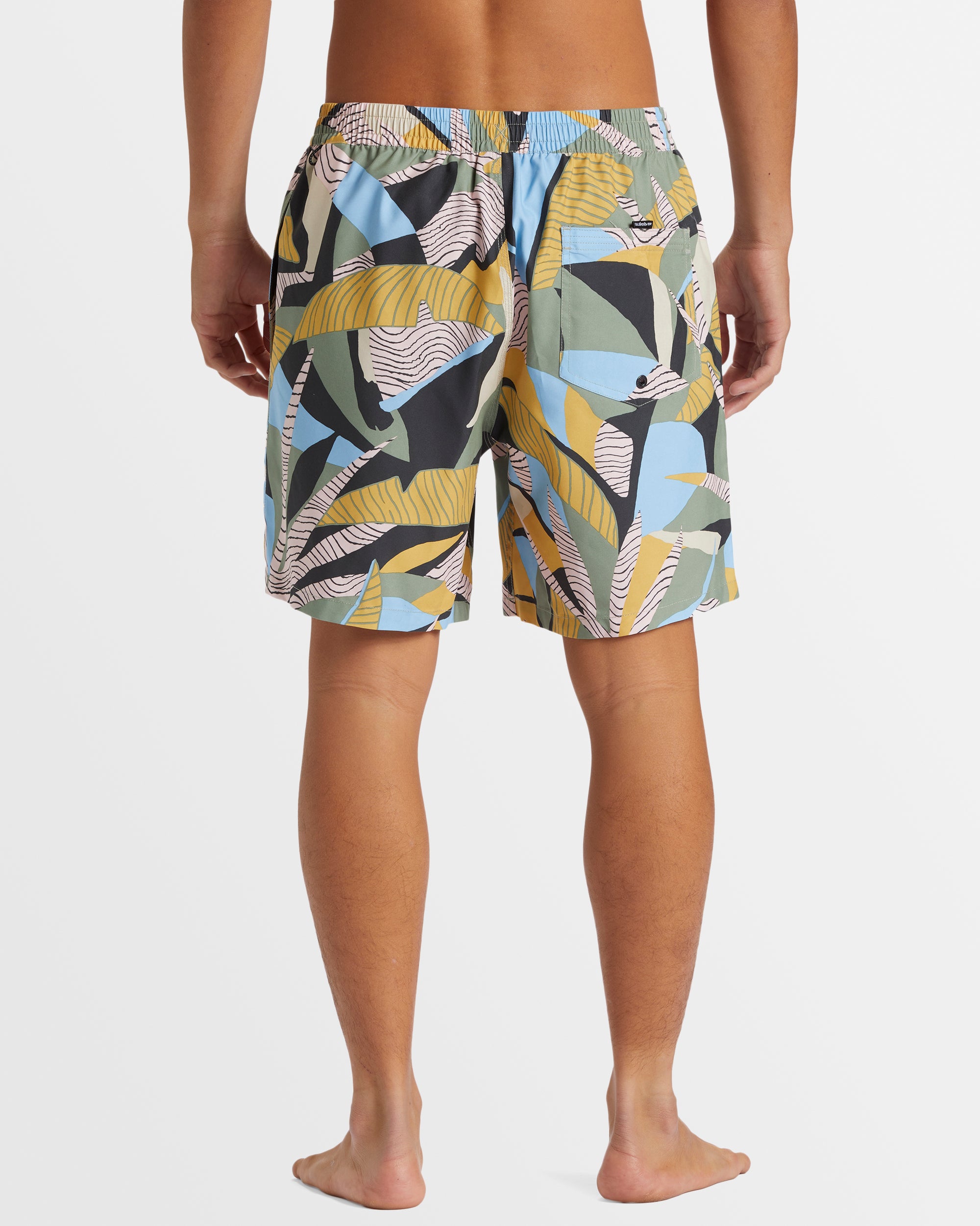 Mens Everyday Mix 17" Boardshorts