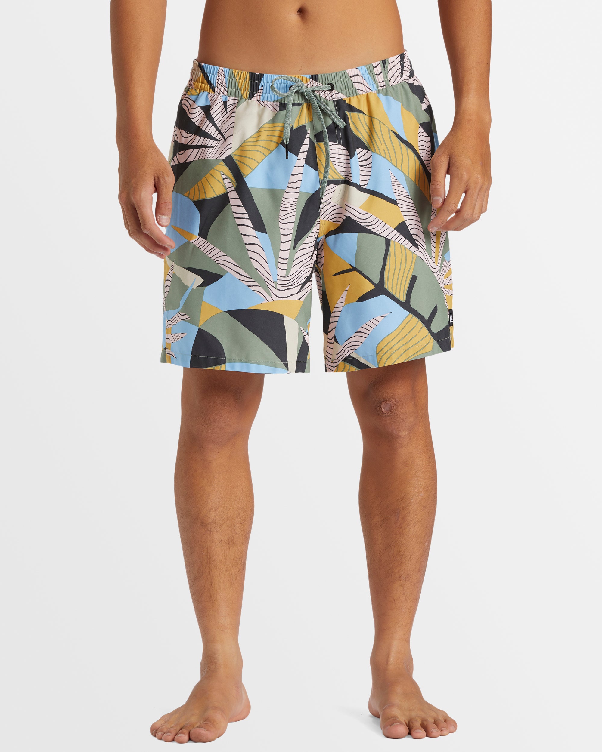 Mens Everyday Mix 17" Boardshorts