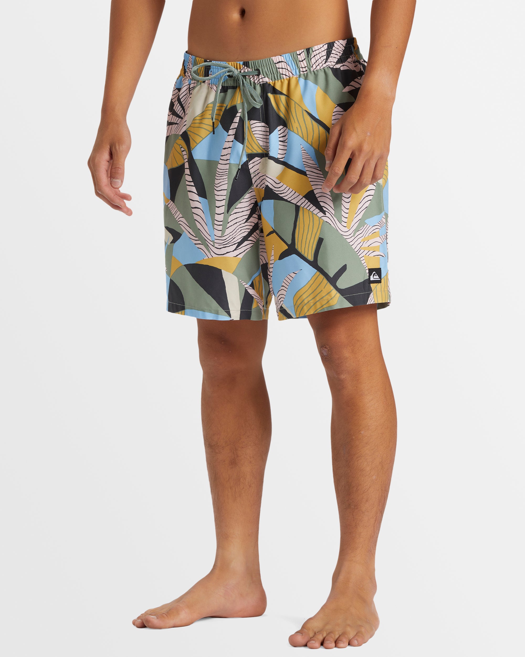 Mens Everyday Mix 17" Boardshorts