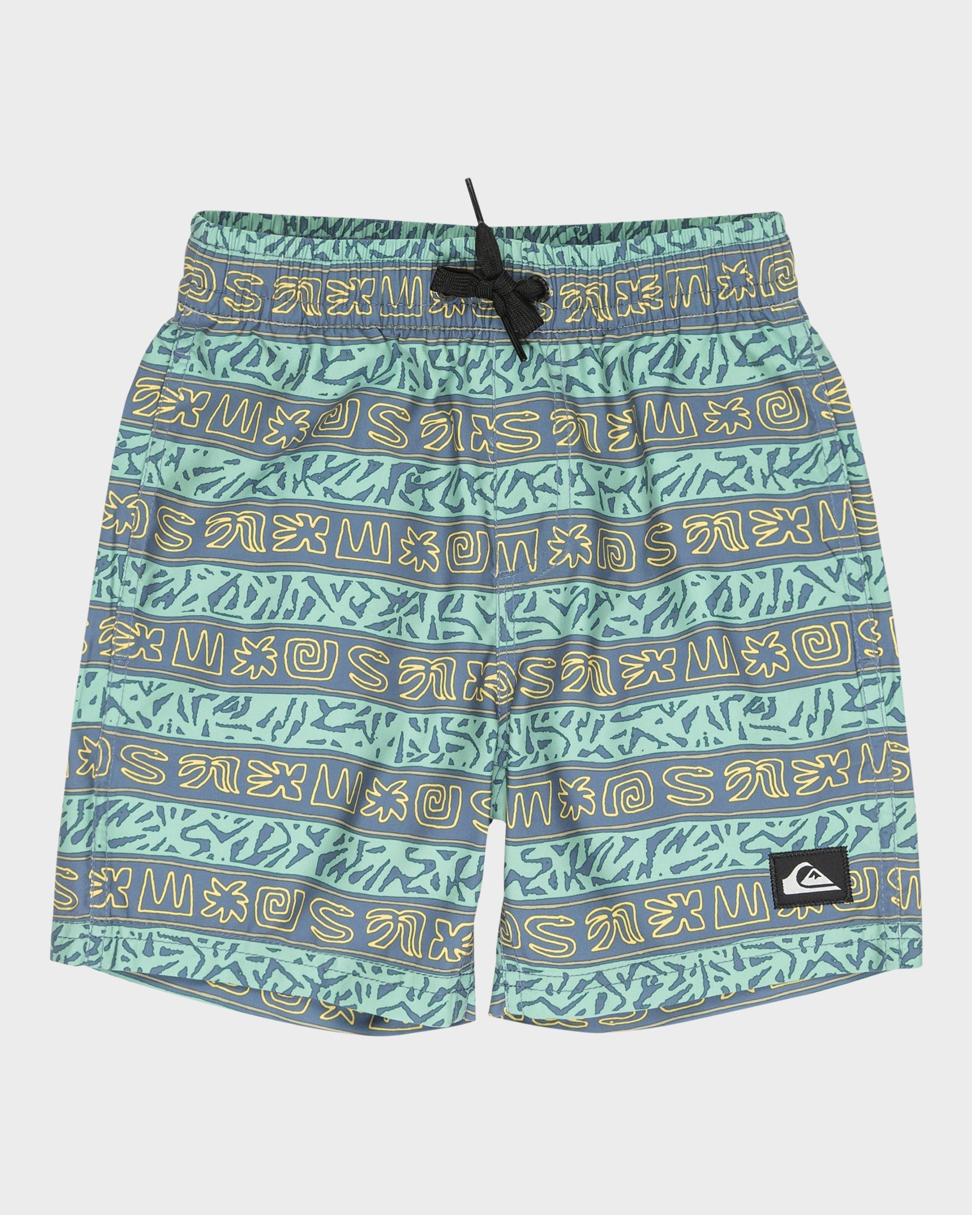 Boys 2-7 Everyday Volley 13" Swim Shorts
