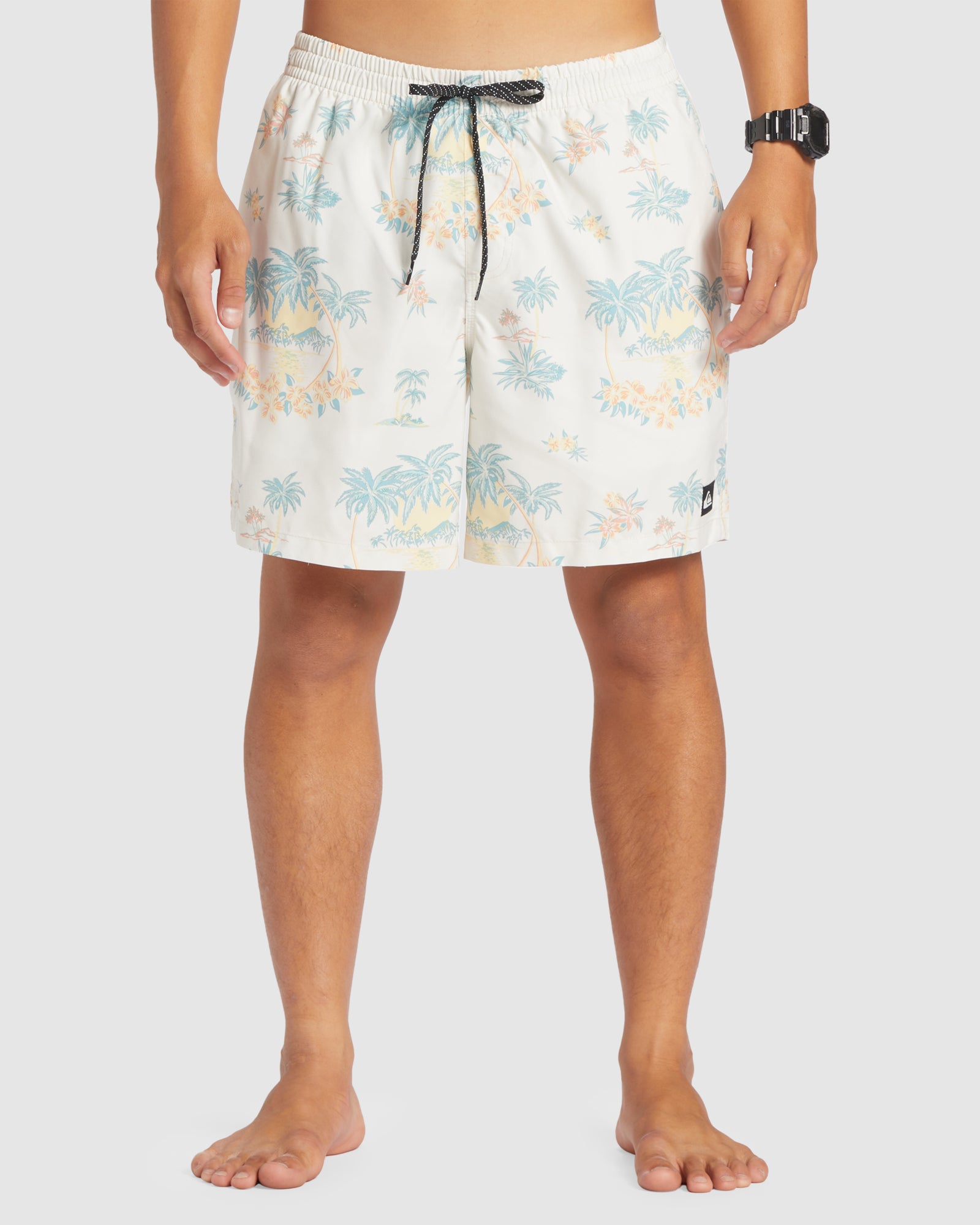 Mens Everyday Mix 17" Swim Shorts