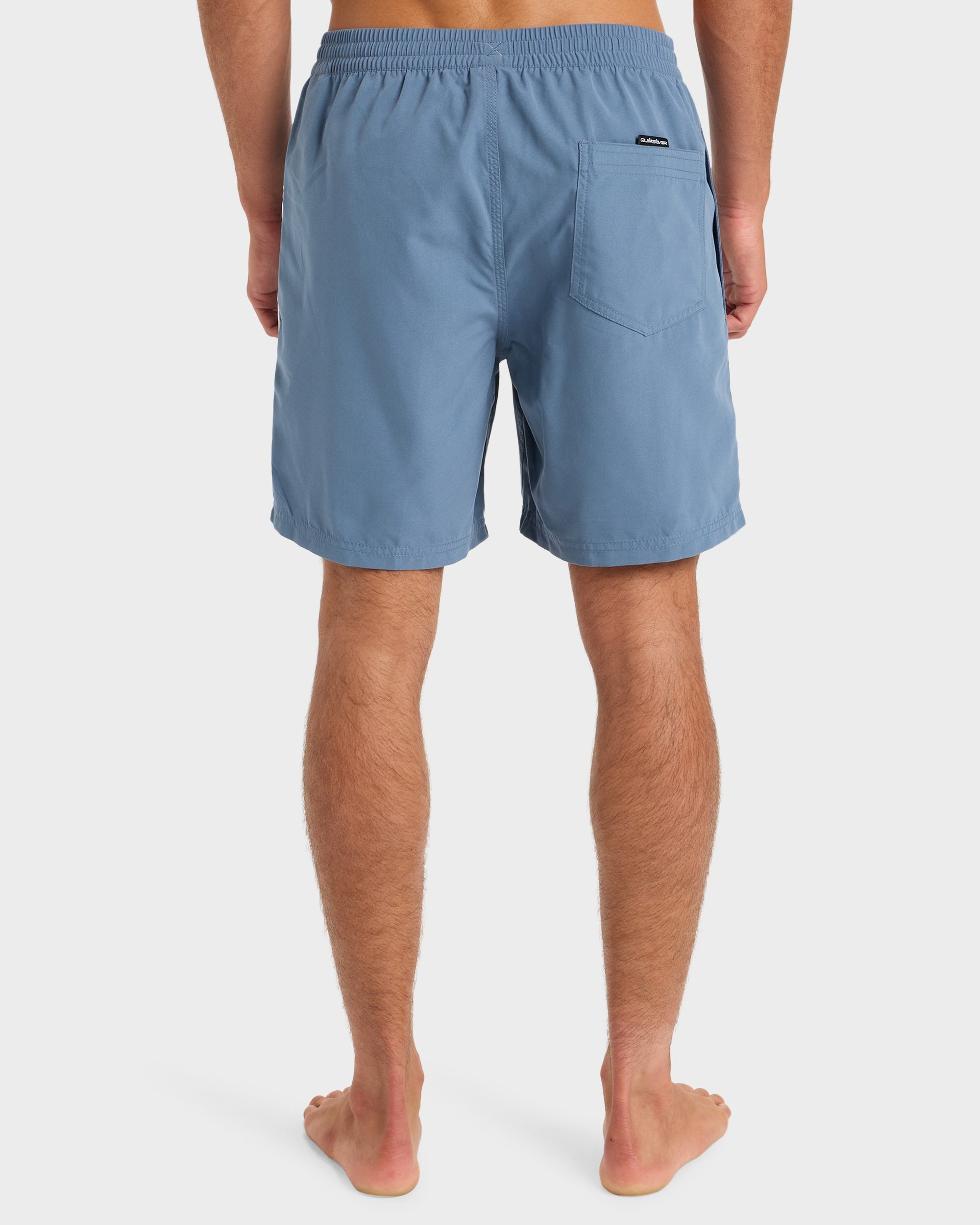 Mens Everyday Volley 17" Swim Shorts