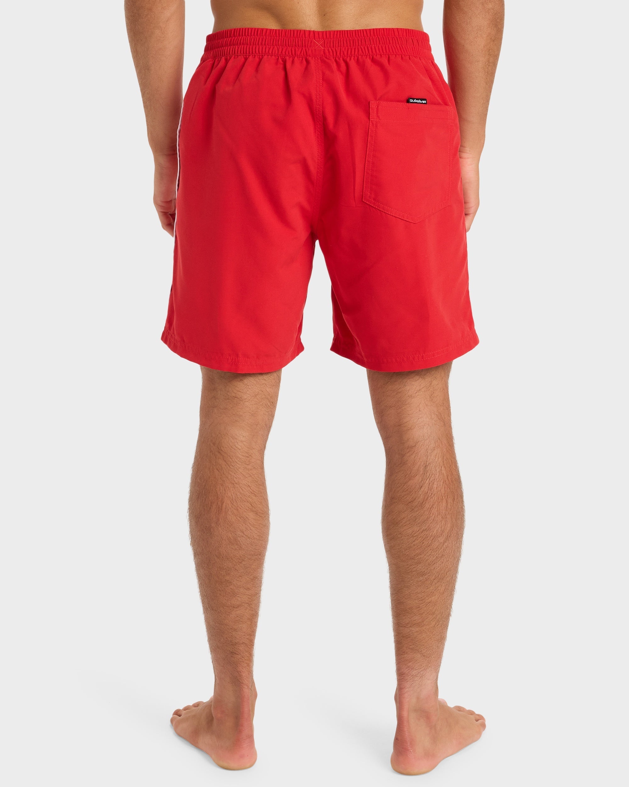 Mens Everyday Volley 17" Swim Shorts