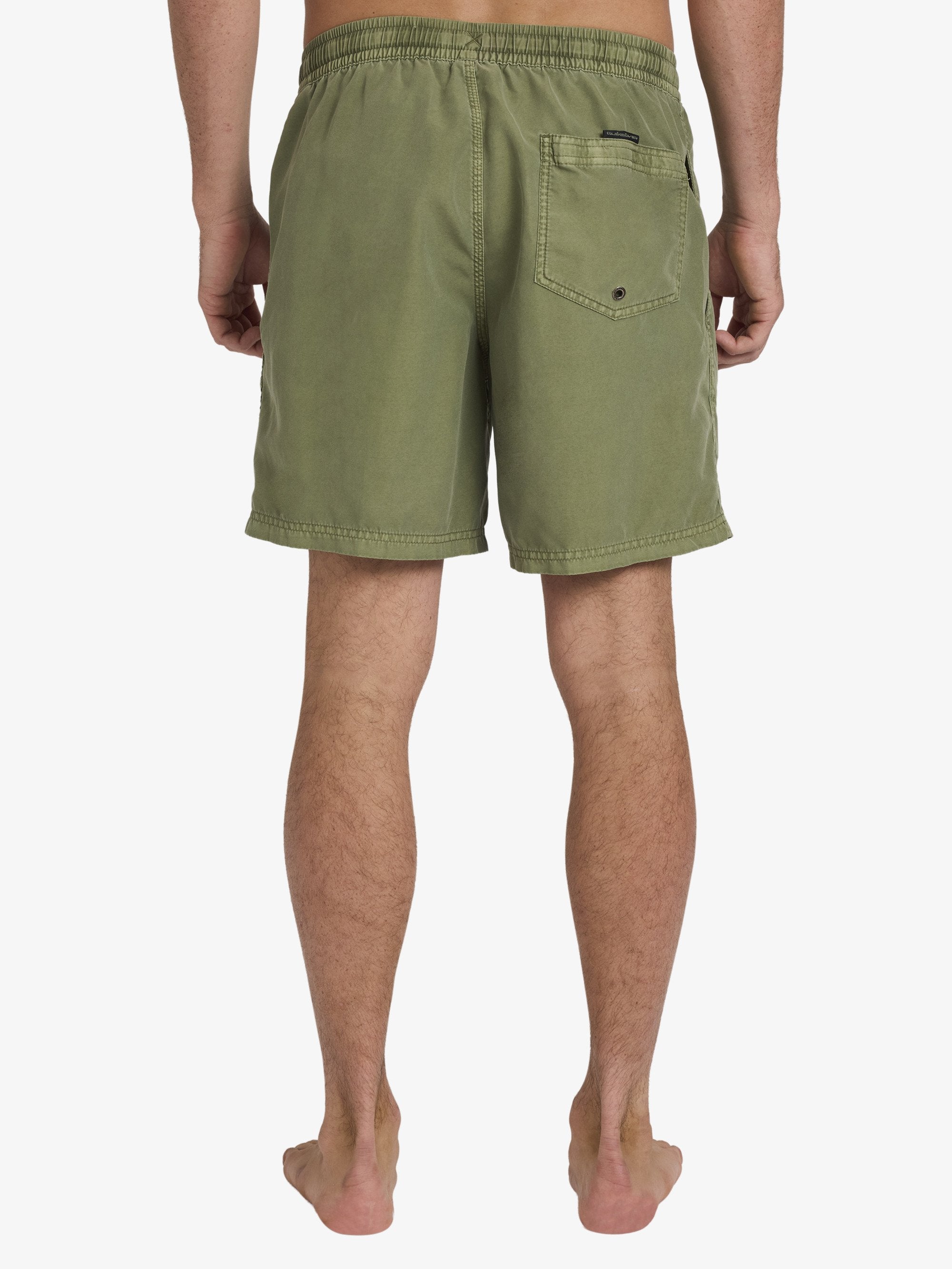 Mens Everyday Volley 17" Swim Shorts