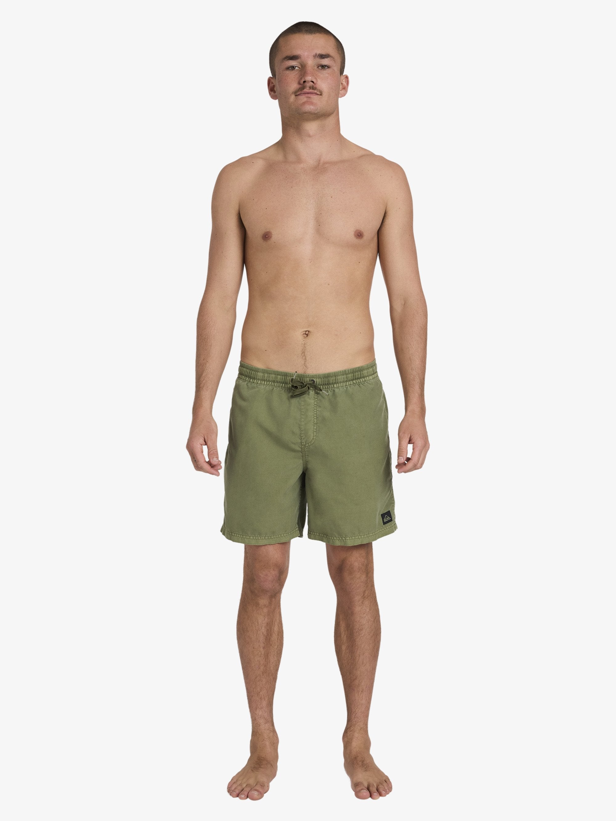 Mens Everyday Volley 17" Swim Shorts