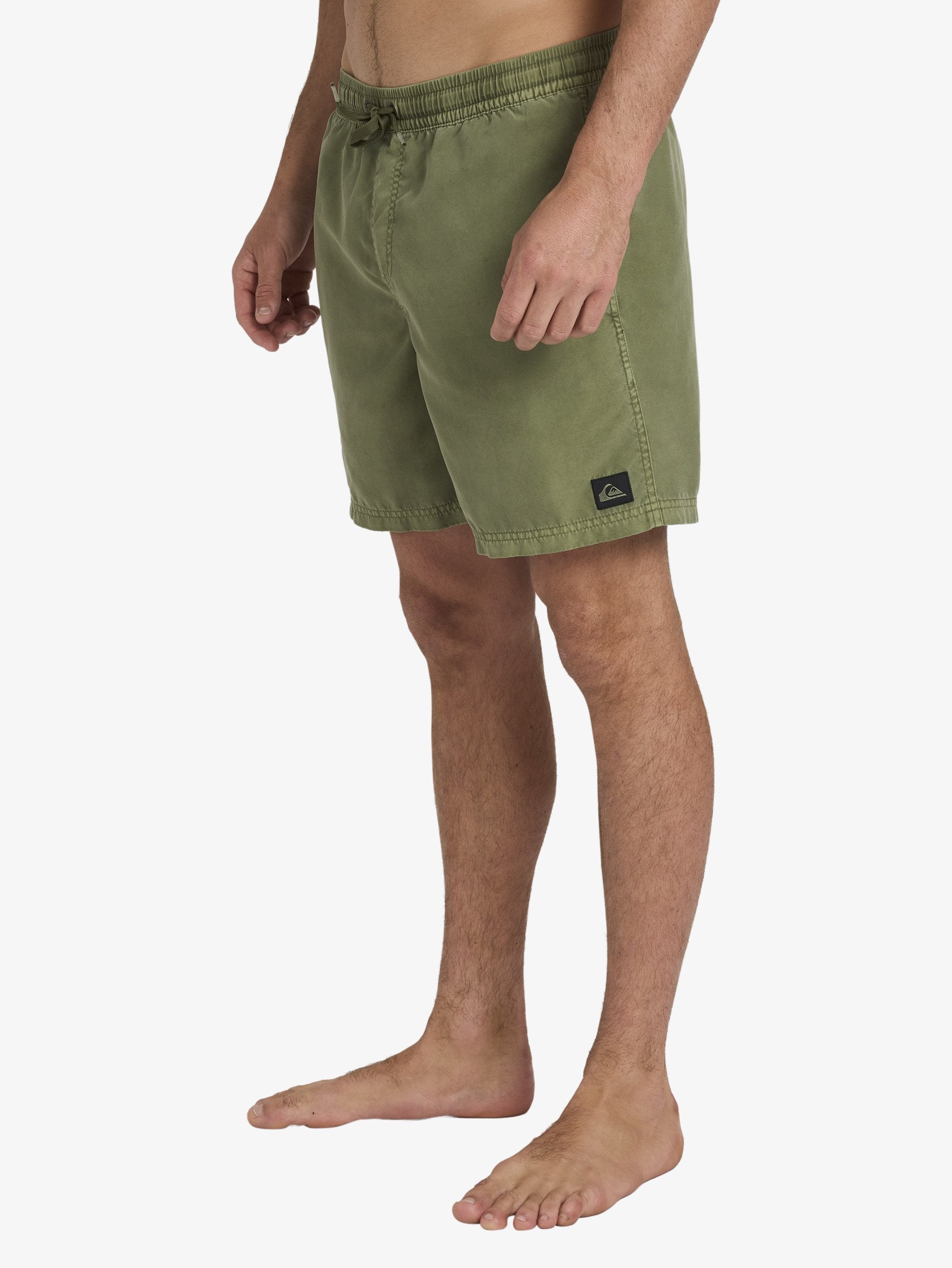 Mens Everyday Volley 17" Swim Shorts