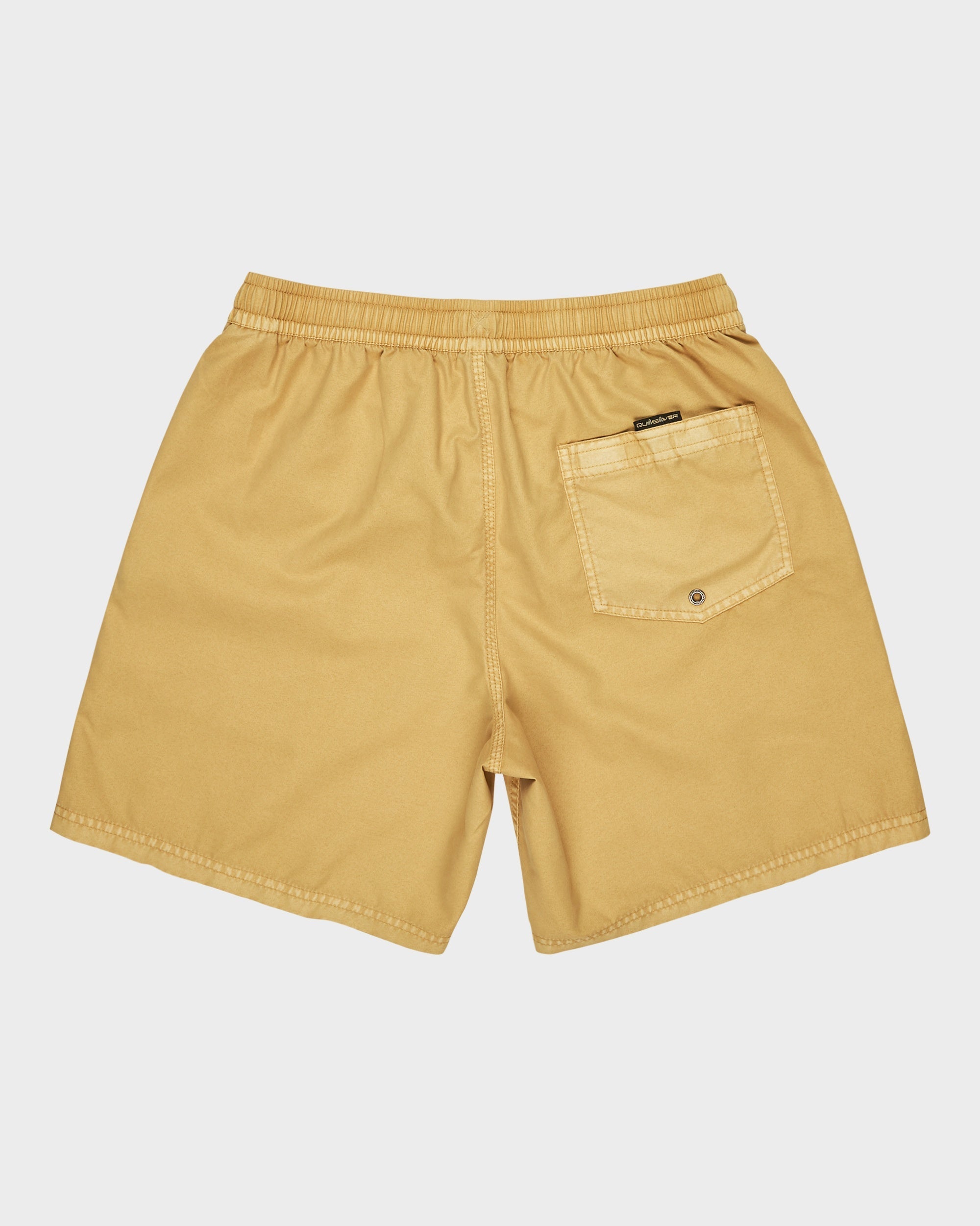 Mens Everyday Surfwash 17" Swim Shorts