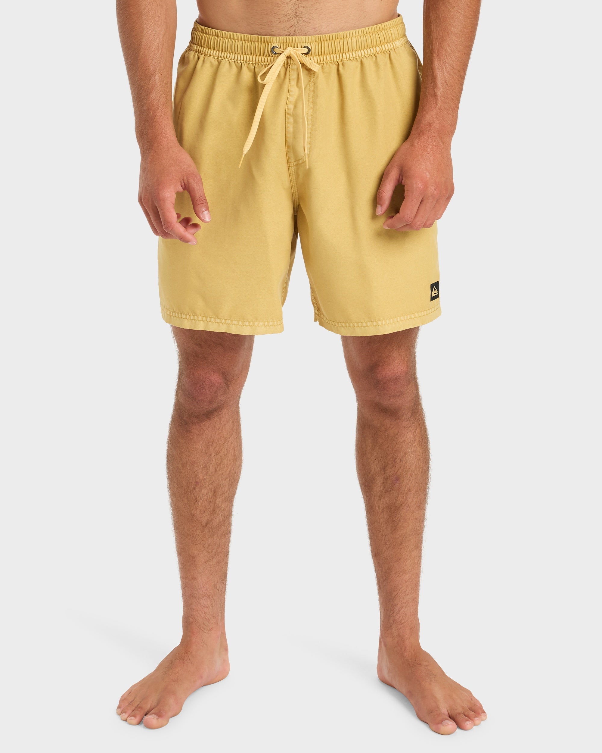 Mens Everyday Surfwash 17" Swim Shorts