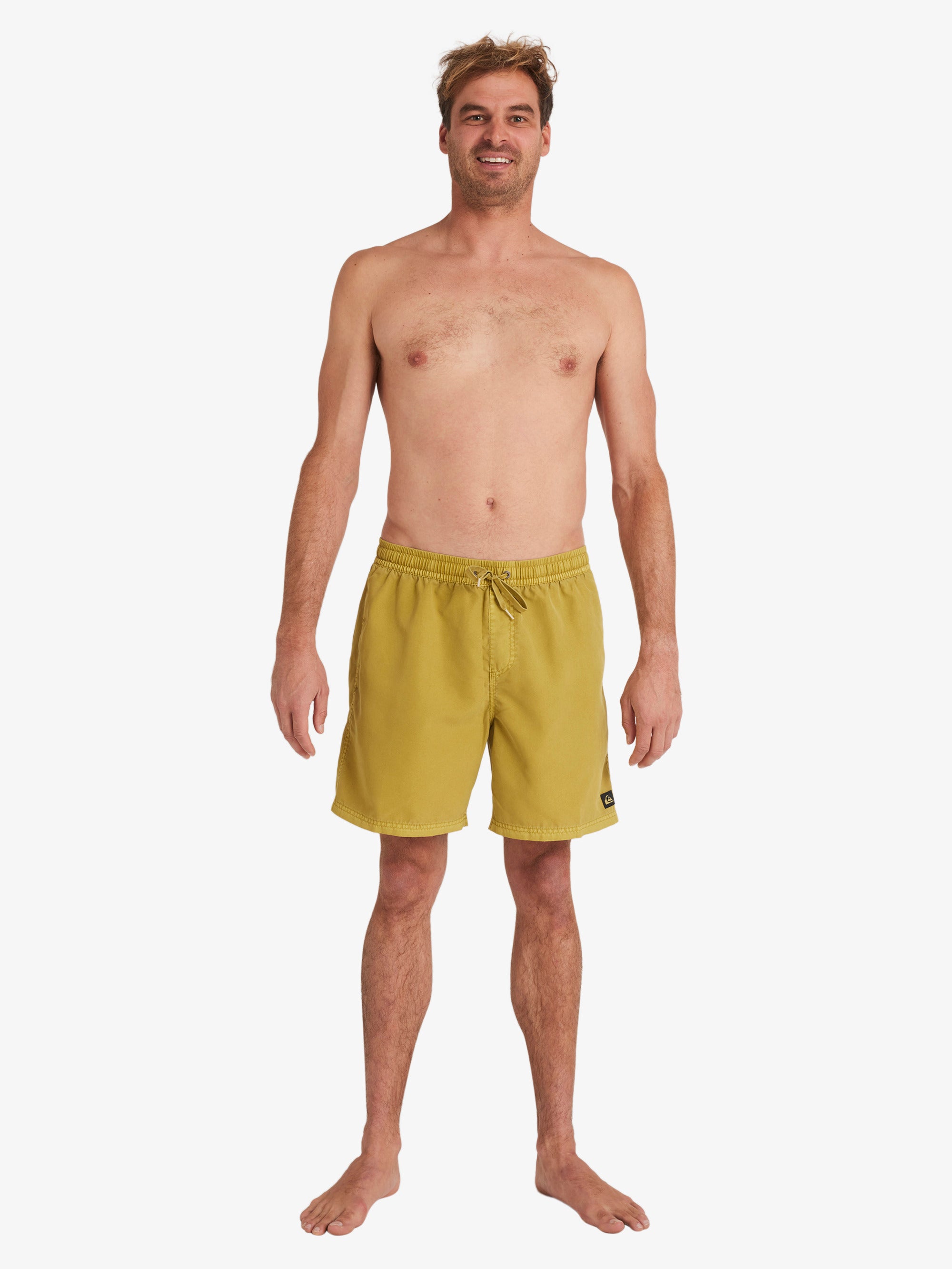 Mens Everyday Surfwash Volley 17" Swim Shorts