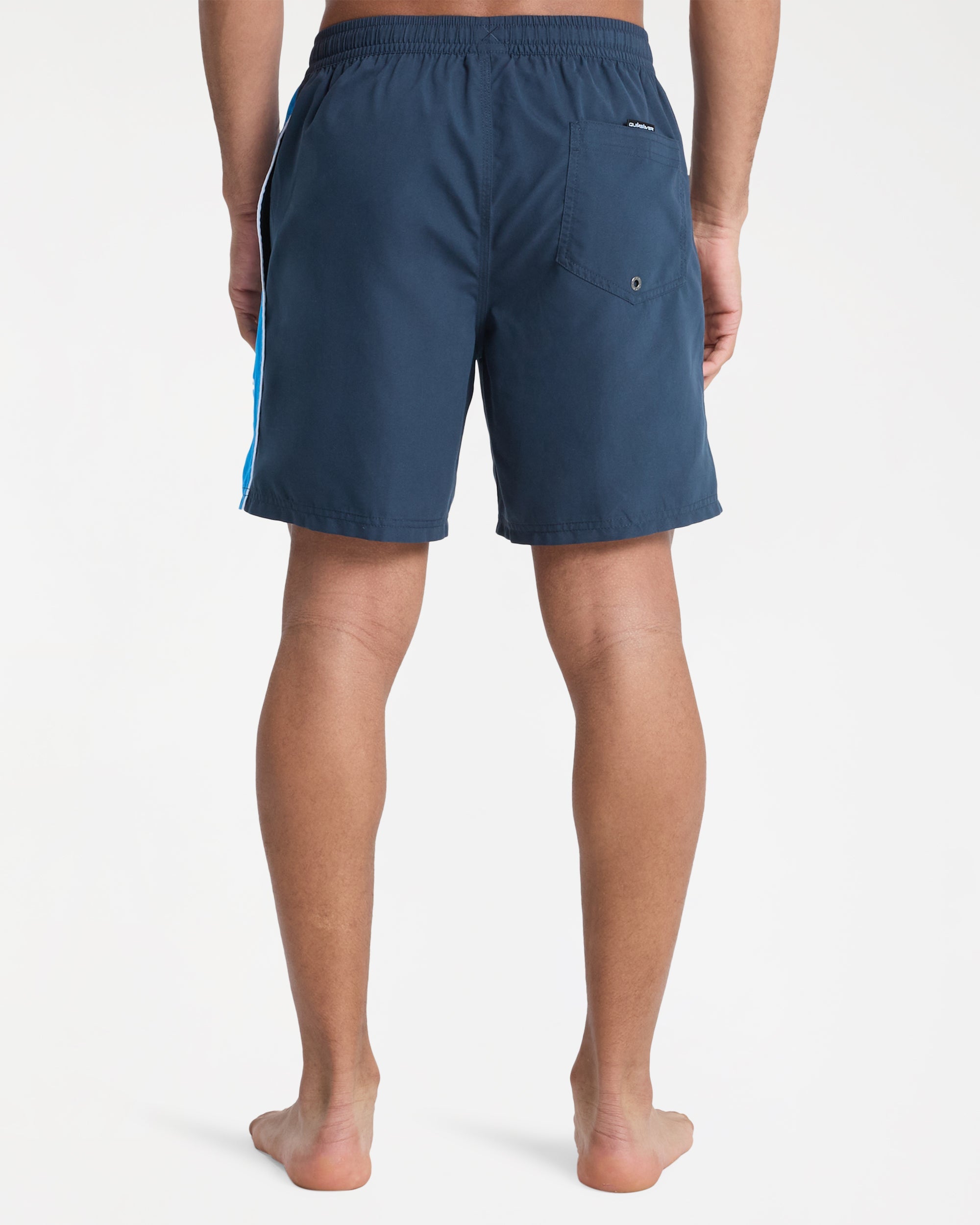 Mens Everyday Clicker 17" Swim Shorts