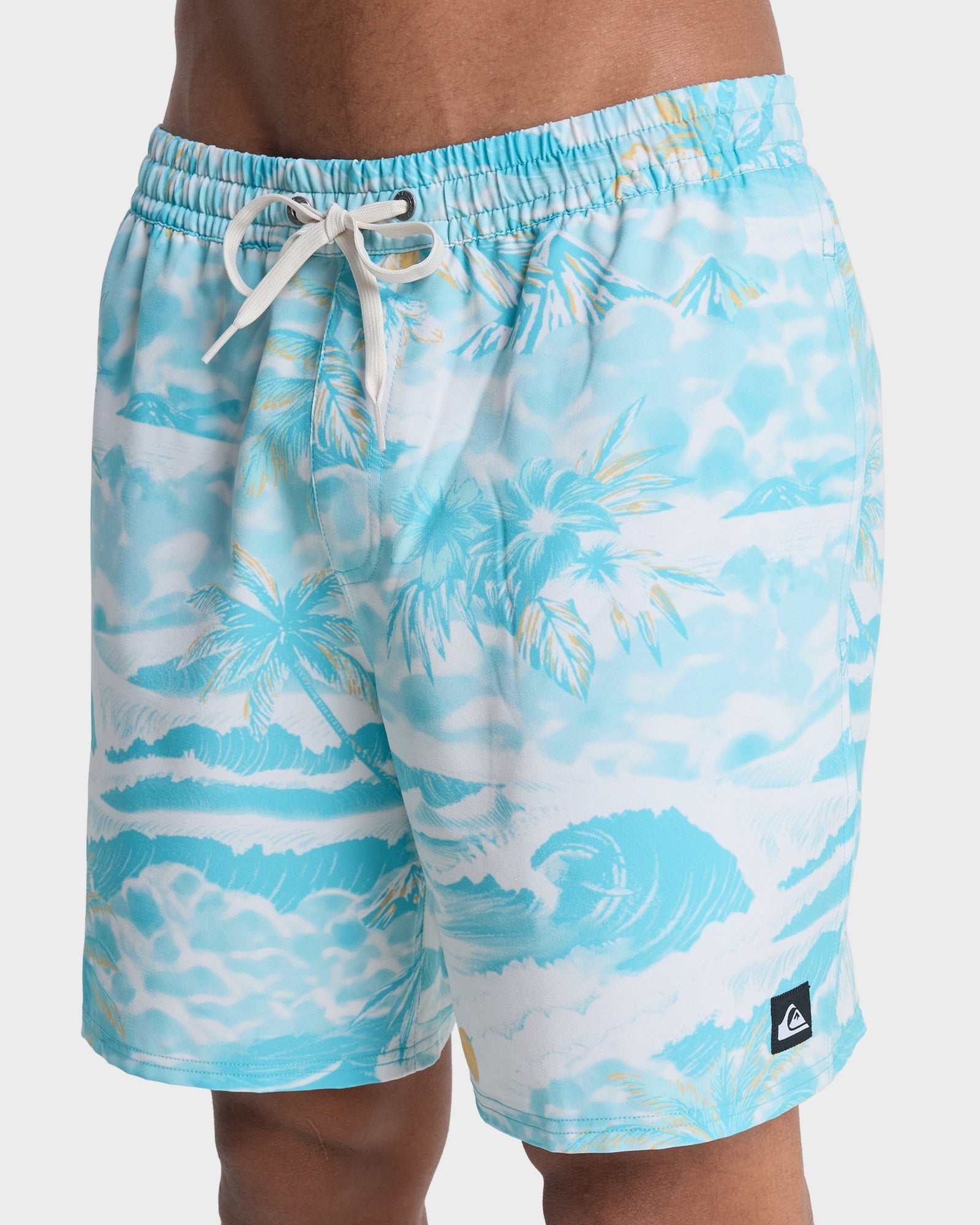 Mens Stretch Printed Volley 17" Swim Shorts