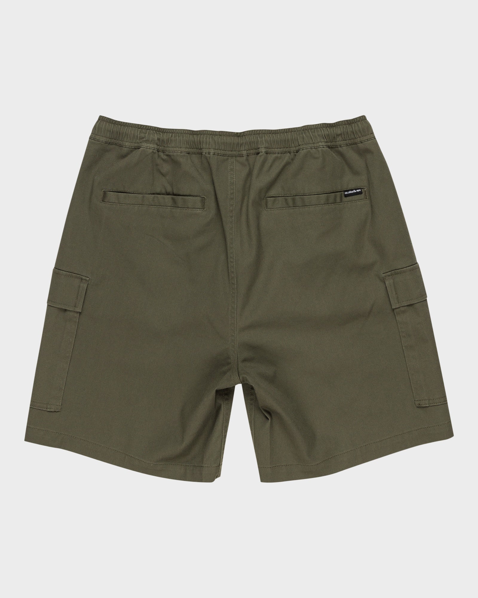 Mens Taxer 19" Cargo Walkshorts