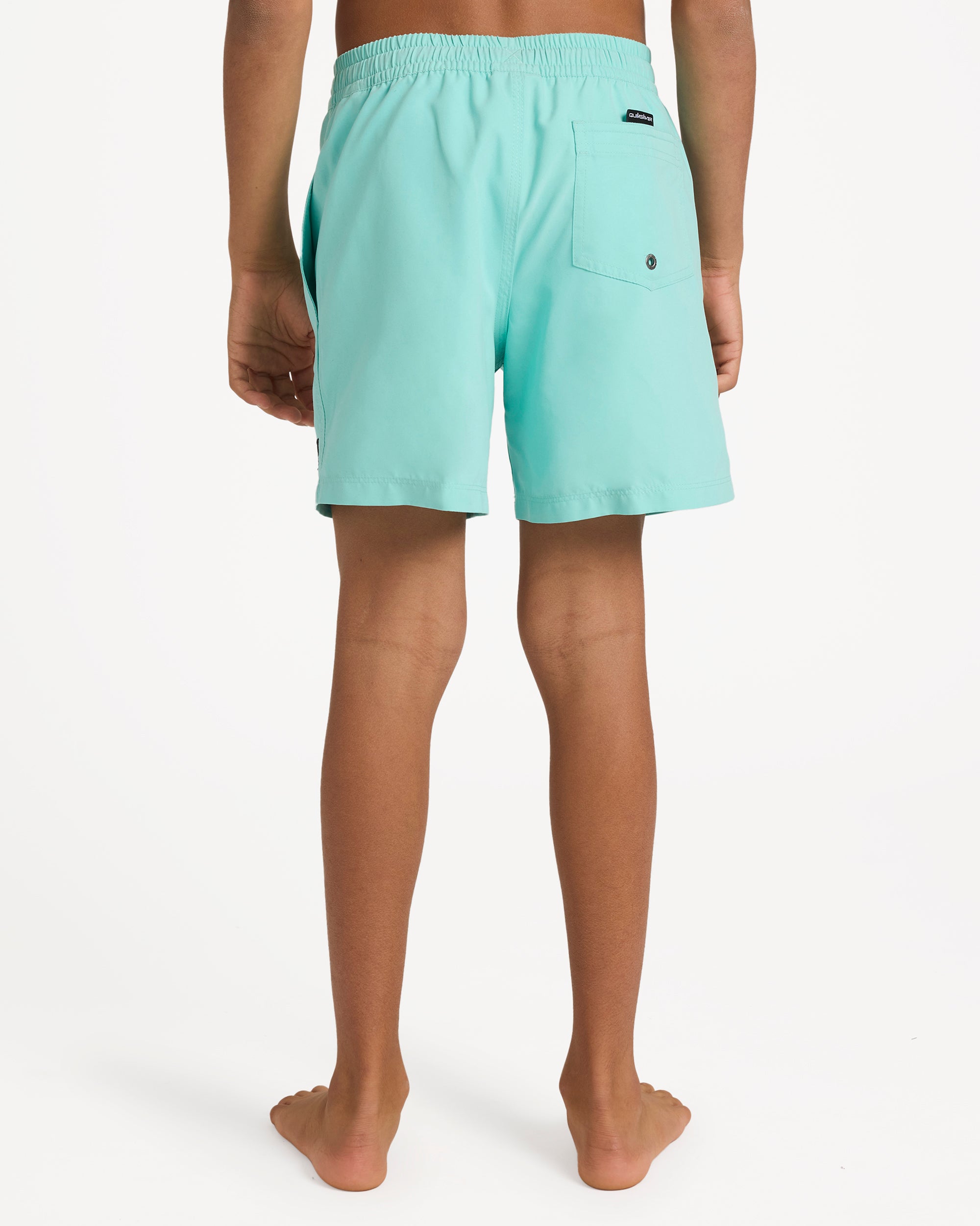 uqbjv03020_quiksilver_bgh0_bck1