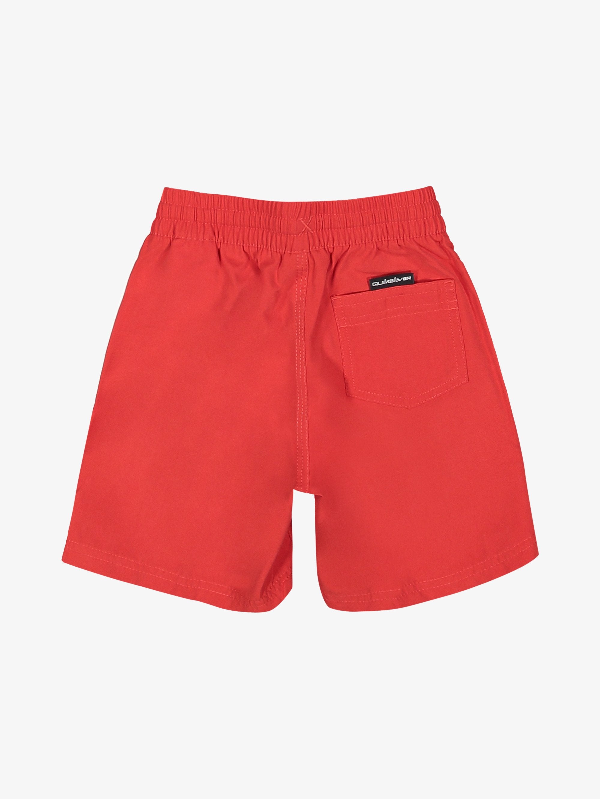 Boys 2-7 Vert Volley 13" Swim Shorts