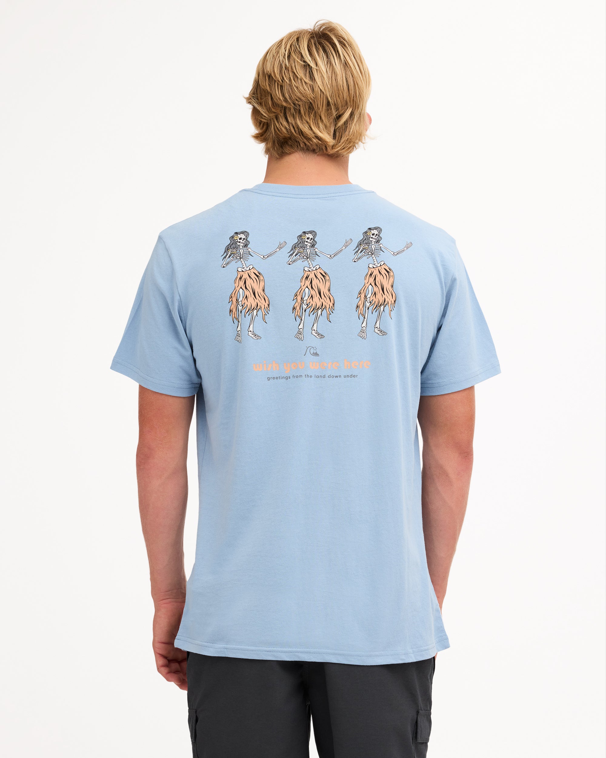 uqyzt04825_quiksilver_bhl0_bck1
