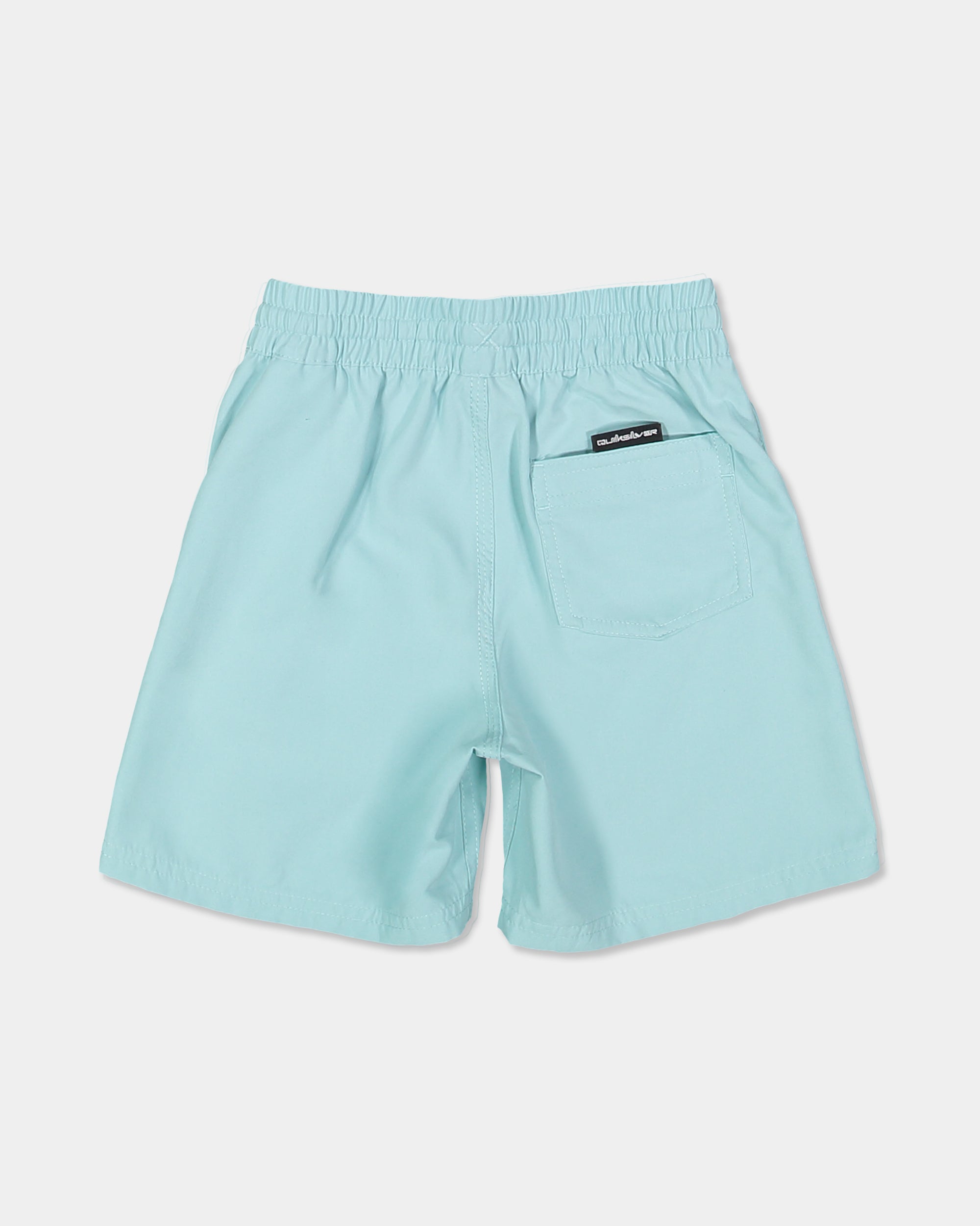 Boys 2-7 Everyday Vert 13" Swim Shorts