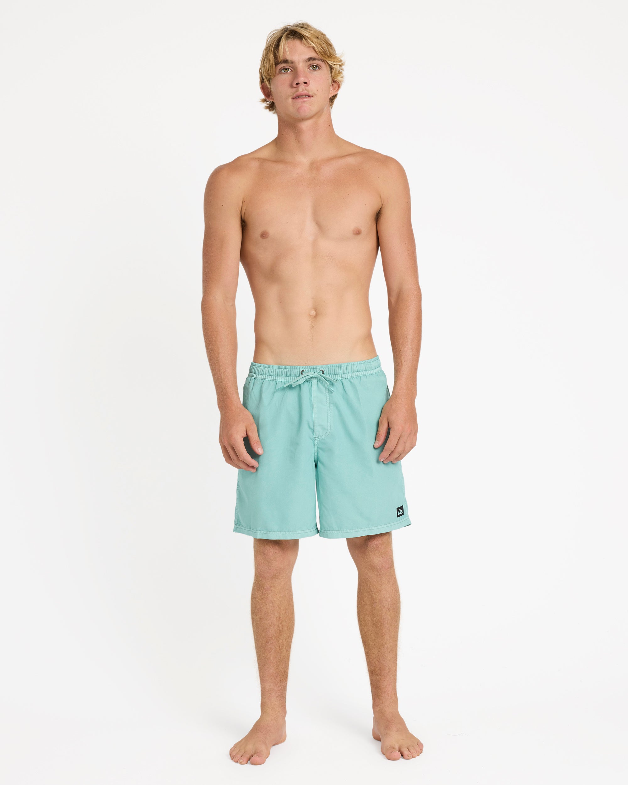 Mens Everyday Surfwash 17" Swim Shorts