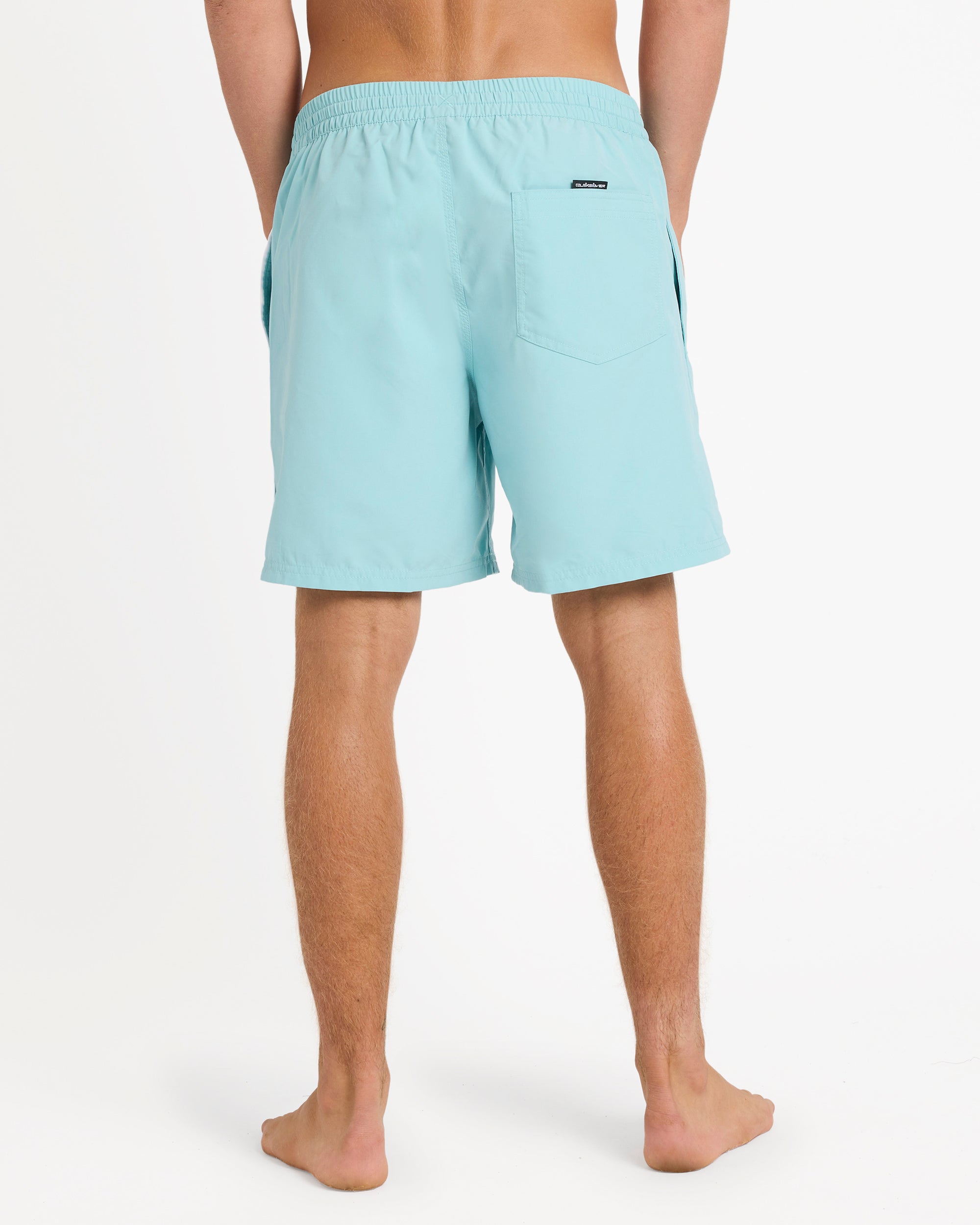 Mens Everyday Vert 17" Swim Shorts