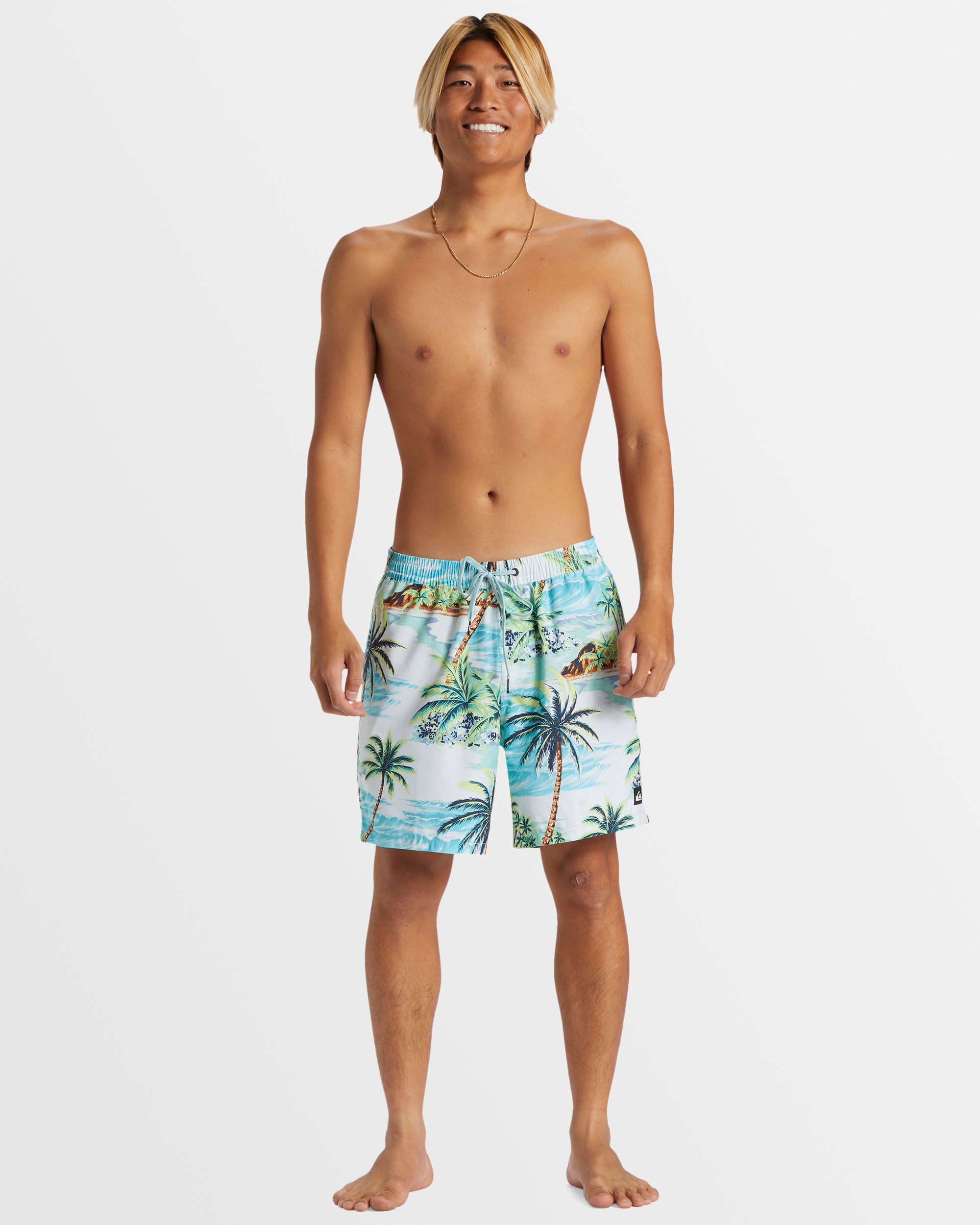 Mens Everyday Mix 17" Boardshorts