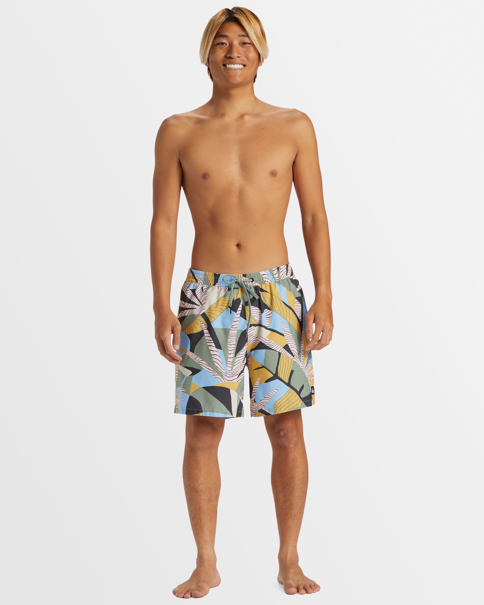 Mens Everyday Mix 17" Boardshorts