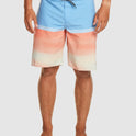 Mens Everyday Division 20" Boardshorts