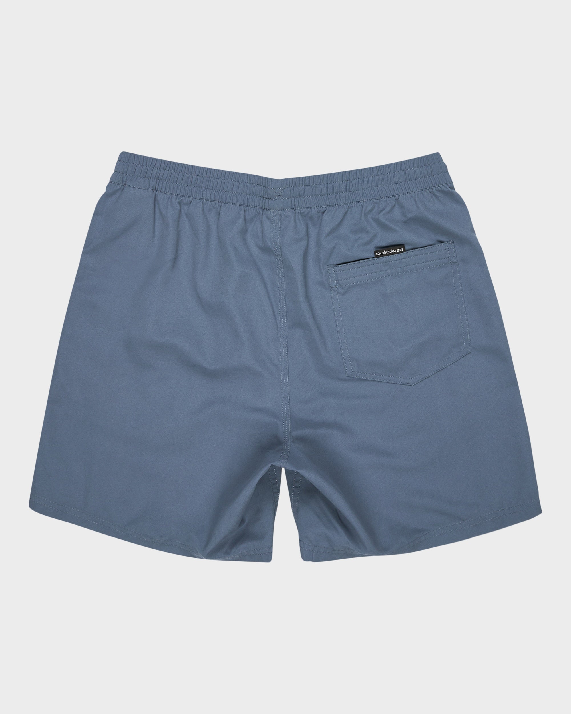 Mens Everyday Volley 17" Swim Shorts