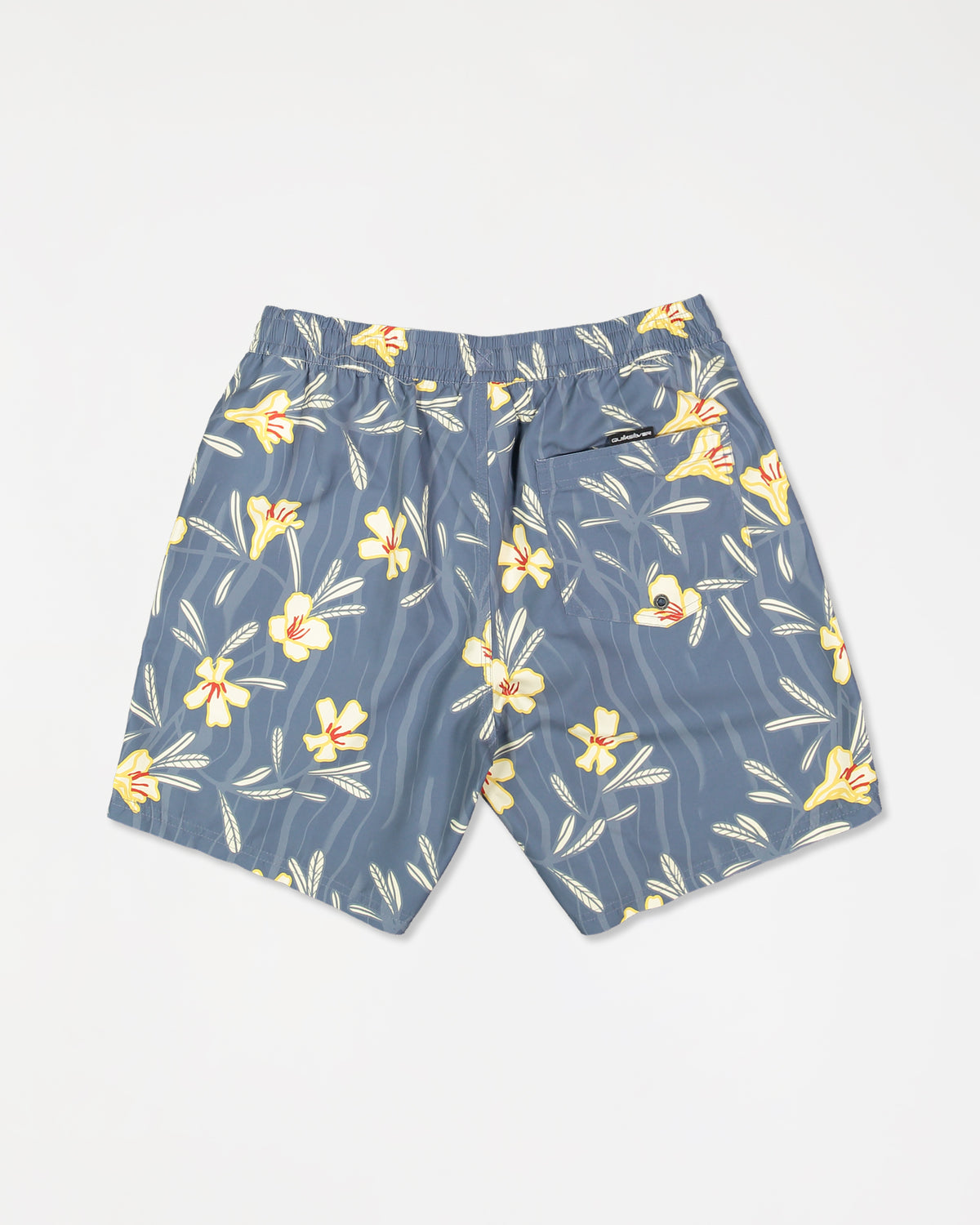 eqyjv04142_quiksilver_bnd8_bck1_flat