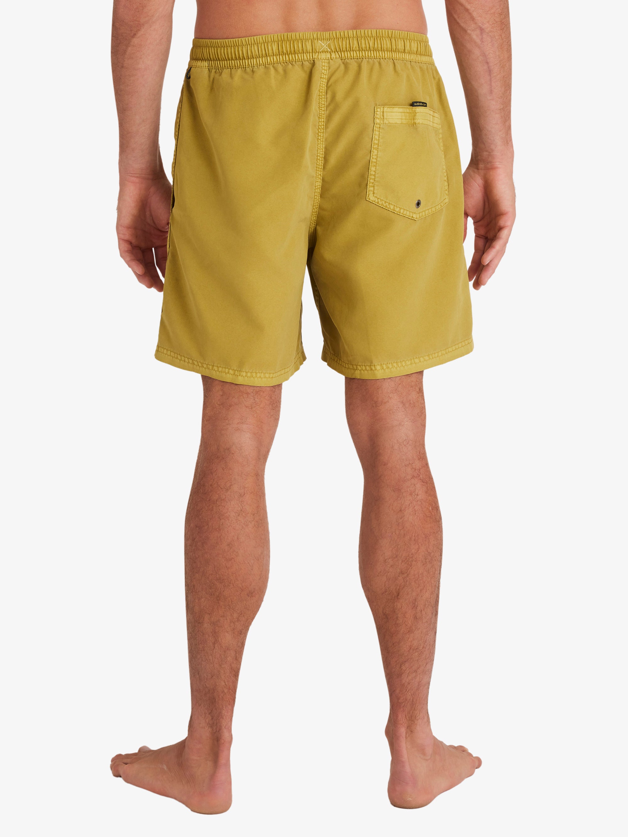 Mens Everyday Surfwash Volley 17" Swim Shorts