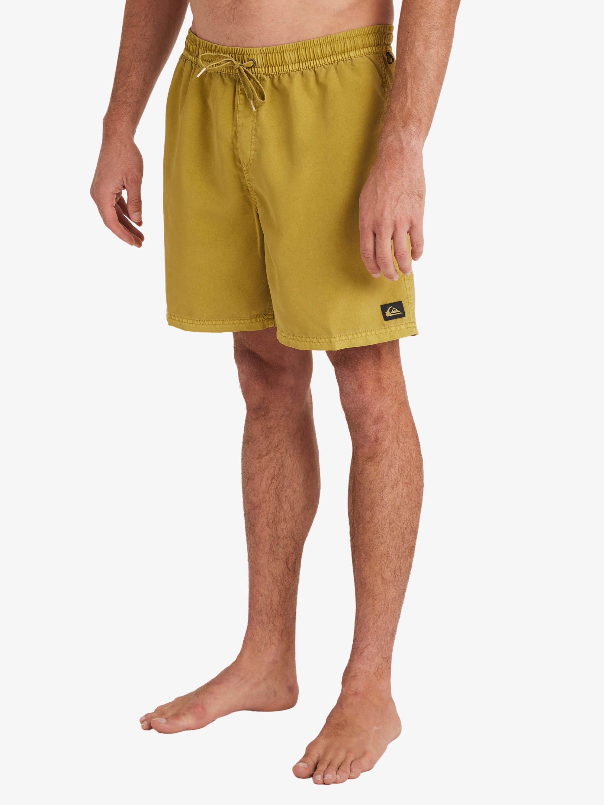 Mens Everyday Surfwash Volley 17" Swim Shorts