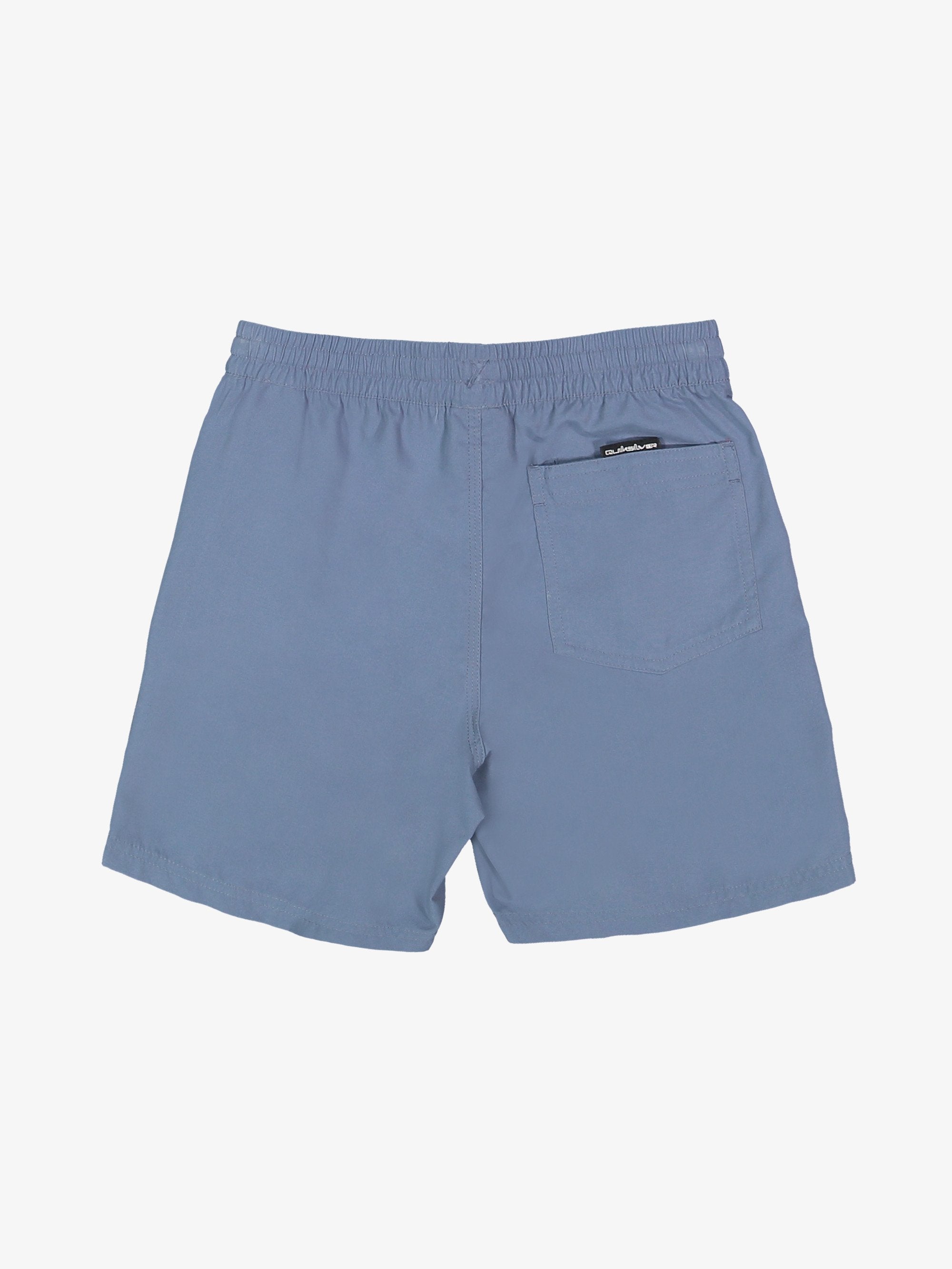 Boys 8-16 Everyday Volley 15" Swim Shorts