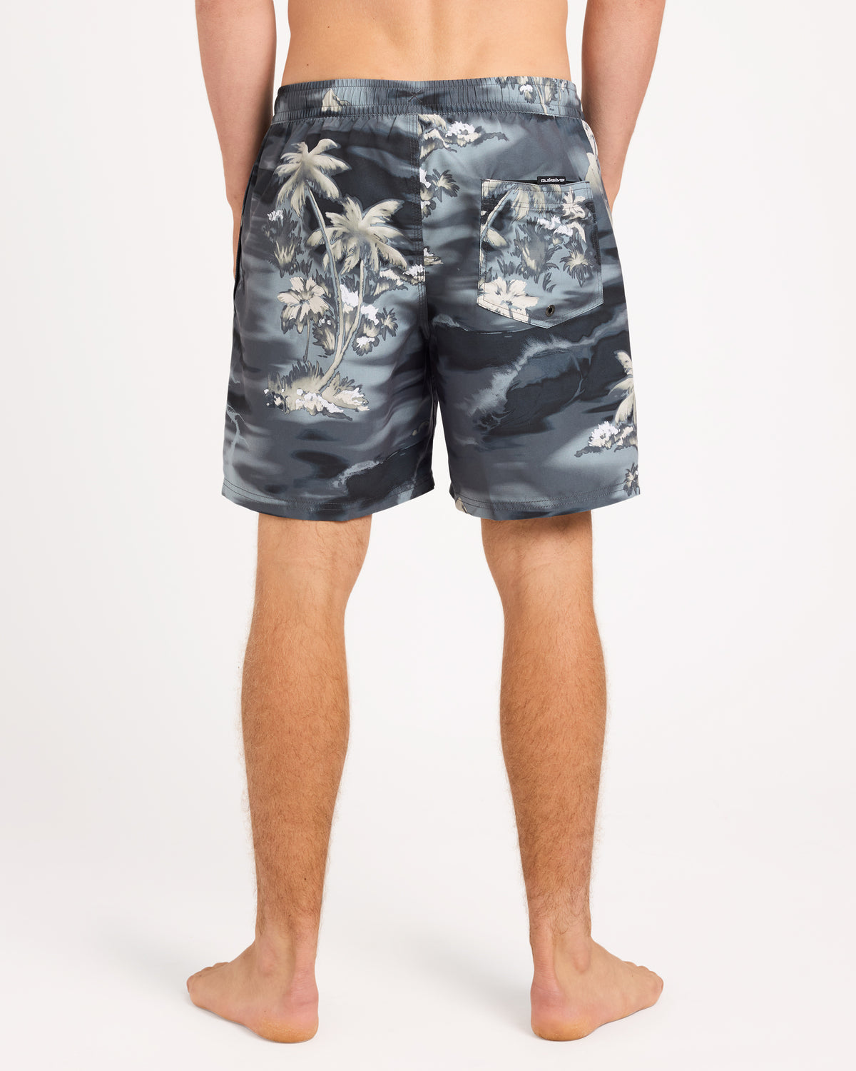 uqyjv03052_quiksilver_kvj0_bck1