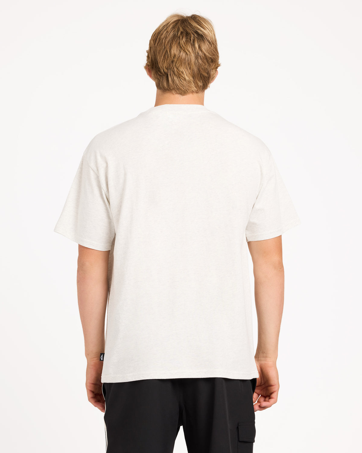uqyzt05888_quiksilver_scvw_bck1